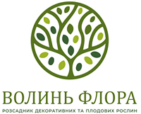 Волинь флора - магазин декоративних та плодовитих рослин
